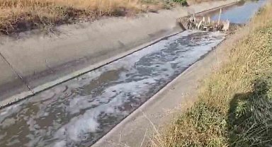 Amasya'da sulama kanalı kirlilikten köpürdü, balık ölümleri görülmeye başladı