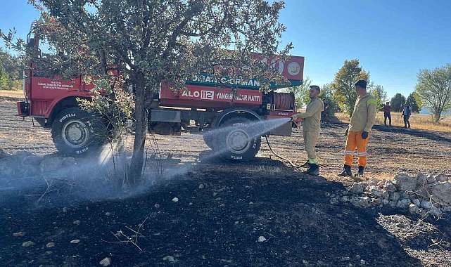 Anız yangını ormana sıçramadan söndürüldü