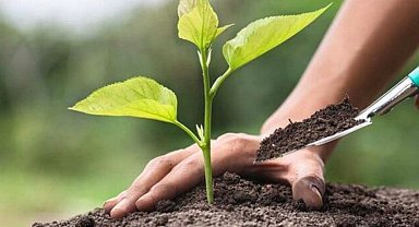 Ankaragücü taraftarlarından Bursa'ya 10 bin fidan desteği