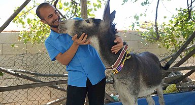 Annesi ölen eşeğe gözü gibi bakıyor