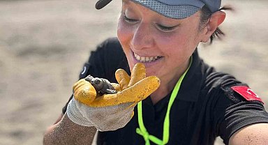 Antalya'da yavru caretta carettaların denizle buluşması için nöbet tutuluyor
