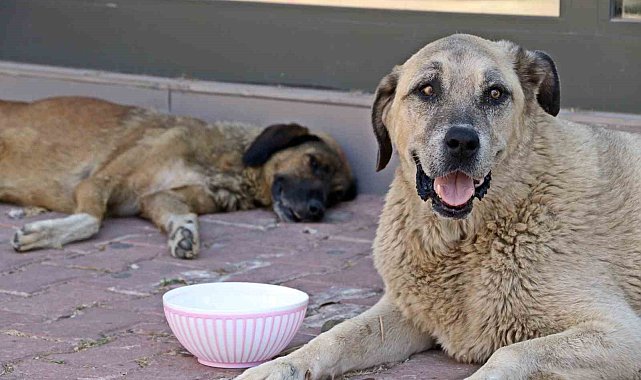 Antalya'nın denizi bile yanıyor: Termometreler 45, deniz suyu 32 derece