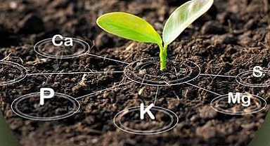 Antalya'da üreticiye tarım eğitimleri başlıyor