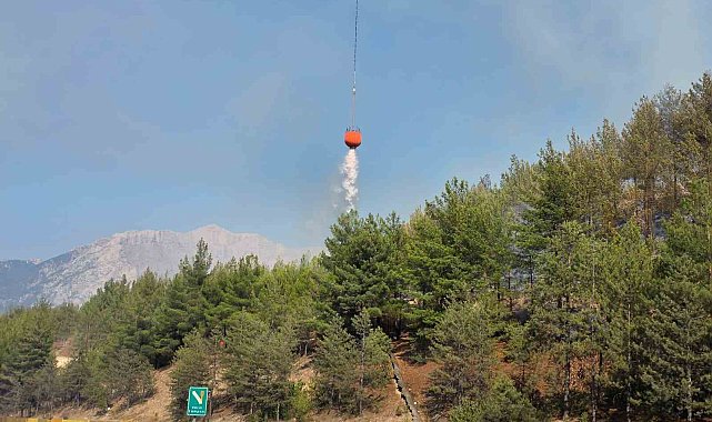 Aracın neden olduğu orman yangını kontrol altına alındı
