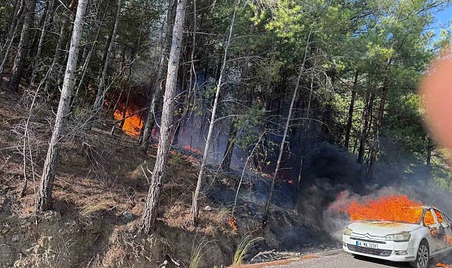 Araçtaki yangın ormana sıçradı