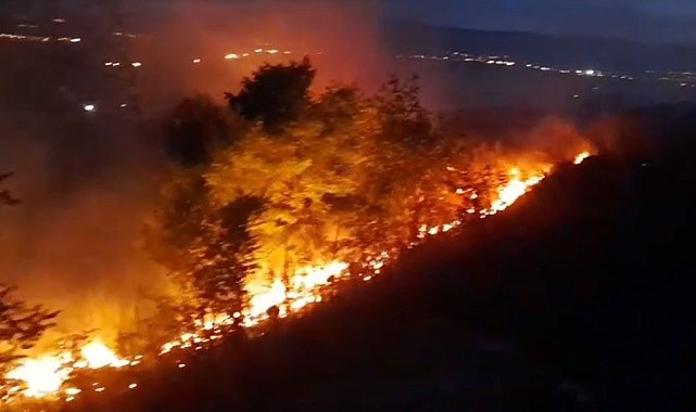 Ardahan'da anız ve fidanlık yangını geceyi aydınlattı