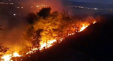 Ardahan'da anız ve fidanlık yangını geceyi aydınlattı