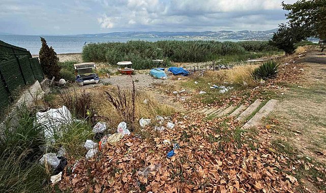 Arifiye Gölbaşı Park'ta çevre rezaleti: Piknik alanı çöplüğe döndü