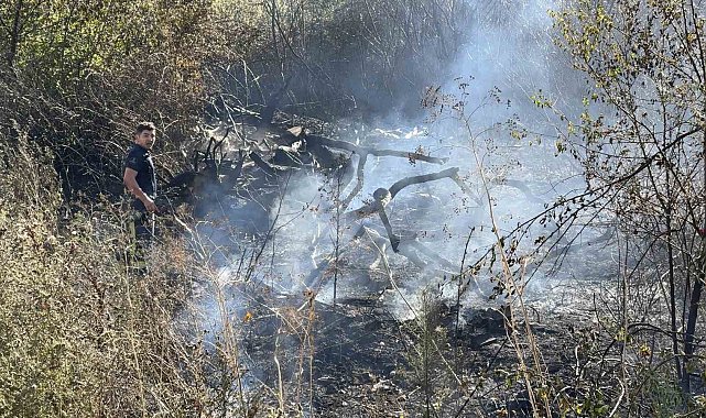 Arnavutköy'de yangın çıkarıp itfaiyecilere saldıran şahıs gözaltına alındı