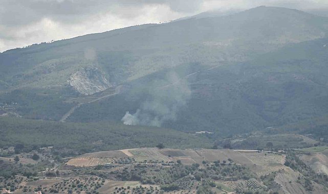 Arsuz'da çıkan orman yangını kontrol altına alındı