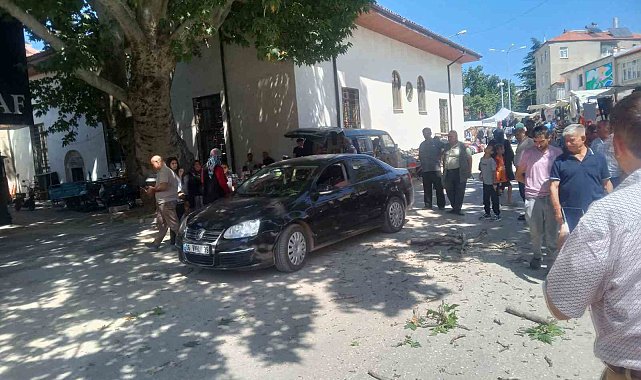 Asırlık çınarın dalı otomobilin üzerine düştü