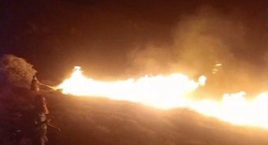 Avşa Adası'nda çıkan arazi yangını kontrol altına alındı