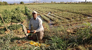 Aydın'da su kıtlığı çiftçilerin mesai saatlerini değiştirdi