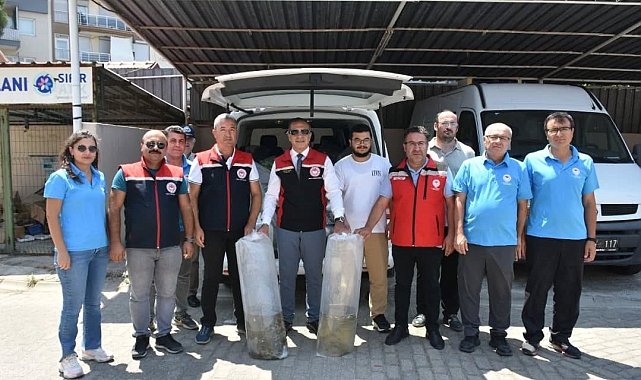 Aydın'da 153 bin sazan yavrusu doğayla buluştu
