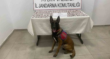 Aydın'da jandarmadan uyuşturucu operasyonu: 3 gözaltı