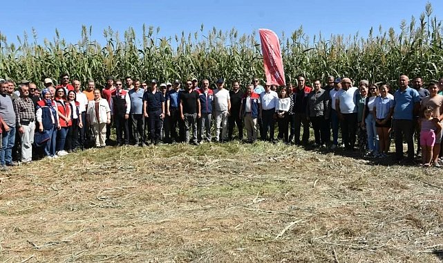 Aydın'da kaba yem açığını kapatacak proje meyvelerini veriyor