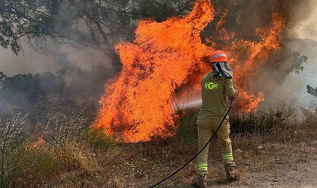 Aydın'da ormanlar için kırmızı alarm