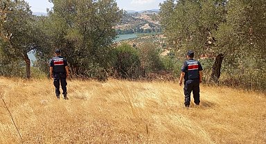 Aydın'da ormanlar jandarma gözetiminde
