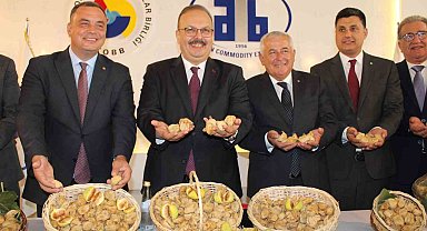 Aydın'da sezonun ilk kuru inciri 800 liradan satıldı