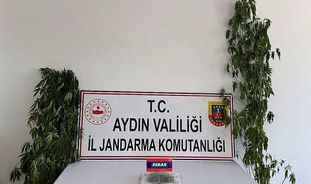 Aydın'da uyuşturucu operasyonu: 13 şüpheli yakalandı
