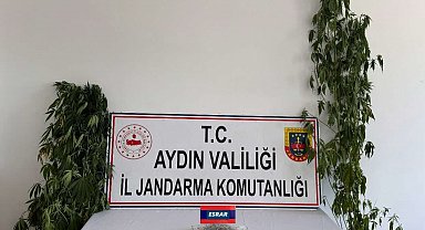 Aydın'da uyuşturucu operasyonu: 13 şüpheli yakalandı