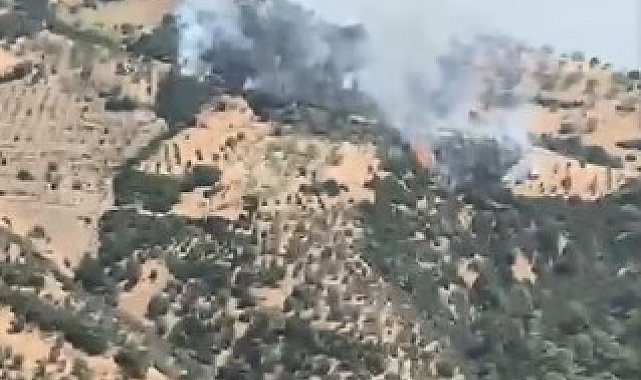 Aydın'da zirai alandaki yangını söndürme çalışmaları devam ediyor