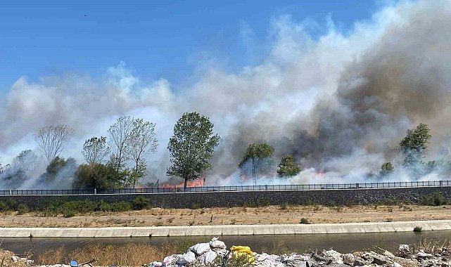 Ayvacık'ta çöplük alanda çıkan yangın ormana sıçradı