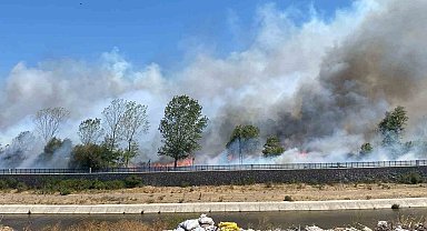 Ayvacık'ta çöplük alanda çıkan yangın ormana sıçradı