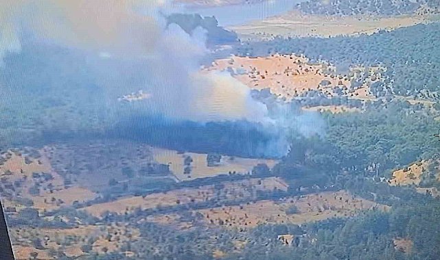 Ayvacık'ta ormanlık alanda yangına, müdahale devam ediyor
