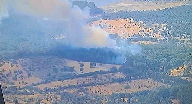 Ayvacık'ta ormanlık alanda yangına, müdahale devam ediyor