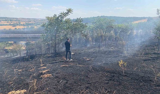 Babaeski'de ağaçlık alanda çıkan yangın söndürüldü