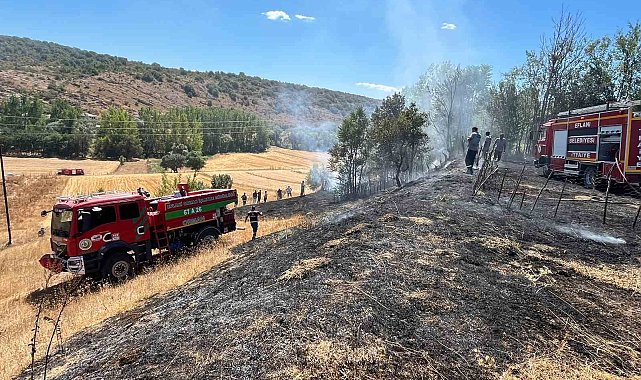 Bahçe yangını evlere sıçramadan söndürüldü