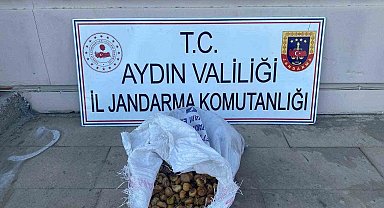 Bahçeden 50 kilo incir çalan şüpheliler jandarmadan kaçamadı