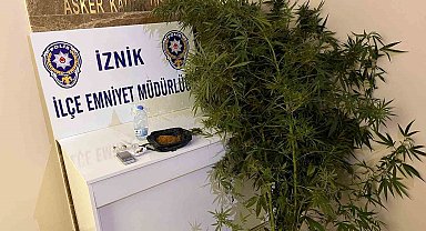Bahçesinde hint keneviri yetiştiren kişiler tutuklandı
