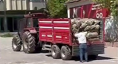 Bakan Yardımcısı Gürcan'dan Yozgat'taki patates israfına sert tepki!