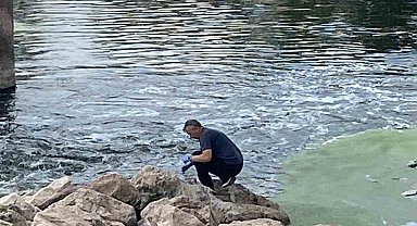 Balık ölümlerinin nedeni aşırı sıcaklar