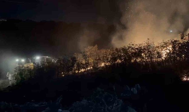 Balıkesir'de alevler geceyi aydınlattı