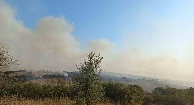 Balıkesir'de arazi yangını