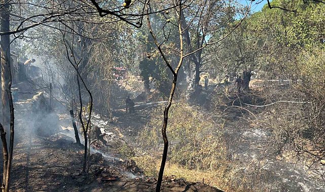 Balıkesir'de kırsal alanda çıkan yangın kısa sürede söndürüldü