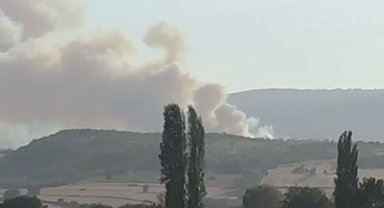 Balıkesir'de orman yangını