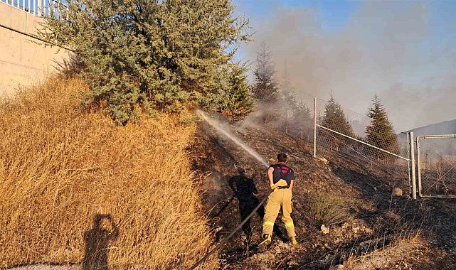 Balıkesir'de otoyol kenarında ot yangını korkuttu