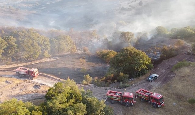 Balıkesir'deki orman yangını kontrol altına alındı