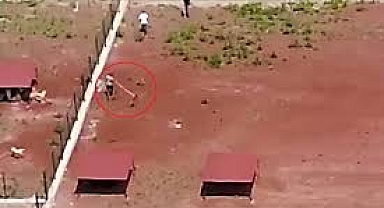 Barınaklar Şaşırtmıyor