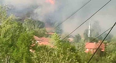 Bartın'da orman yangını: Alevler rüzgarın etkisiyle yerleşim yerini tehdit ediyor