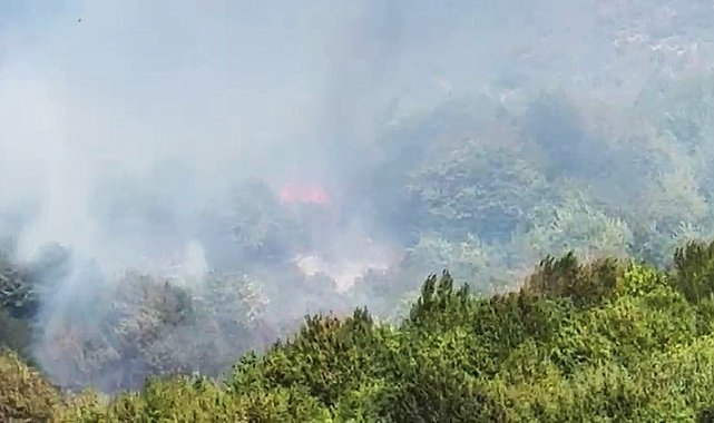 Bartın'da orman yangını çıktı