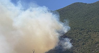 Bartın'da orman yangını çıktı