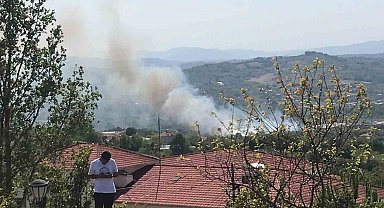 Bartın'da peş peşe yangınlar çıktı