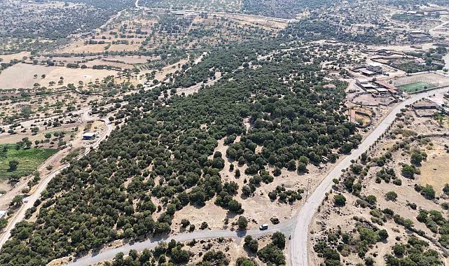 Başkan Pehlivan: "Menemen'in eşsiz doğasına çöp döktürmeyeceğiz"