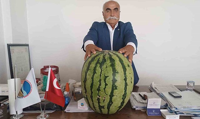 Batman'da 45 kiloluk karpuz dikkat çekti