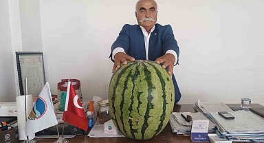 Batman'da 45 kiloluk karpuz dikkat çekti